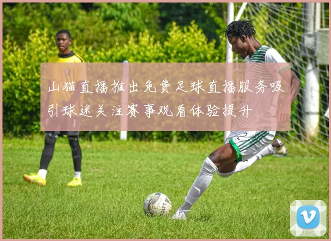 山猫直播推出免费足球直播服务吸引球迷关注赛事观看体验提升