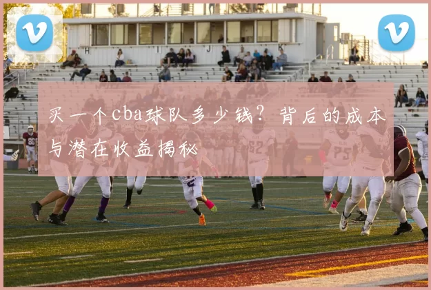 买一个cba球队多少钱?背后的成本与潜在收益揭秘